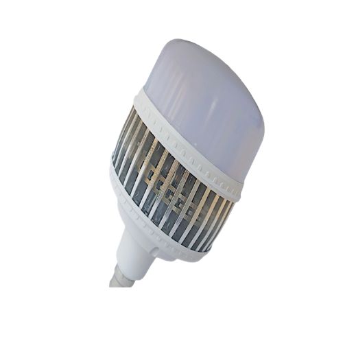 LED BULB